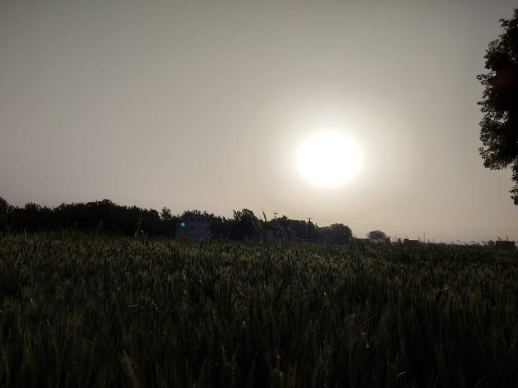 看看母亲思念母亲插图