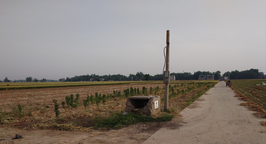 专业种植有机大蒜臻芸杞誉有机农场官网开通了插图