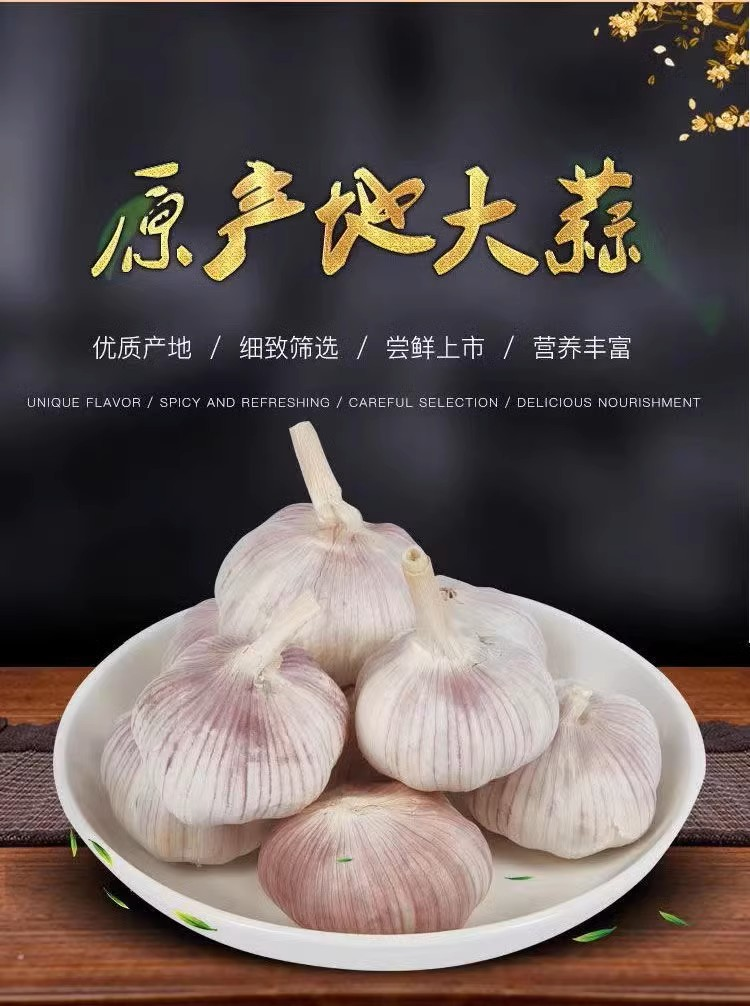 有机农场有机大蒜