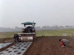 臻芸杞誉有机生态农业有限公司创立说说感想插图6