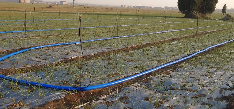 臻芸杞誉有机生态农业有限公司创立说说感想插图8