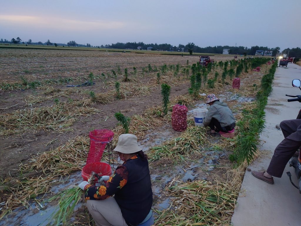 臻芸杞誉有机生态农业有限公司创立说说感想插图4